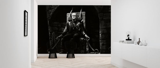 PHOTOWALL / Bride of Frankenstein (e322066)