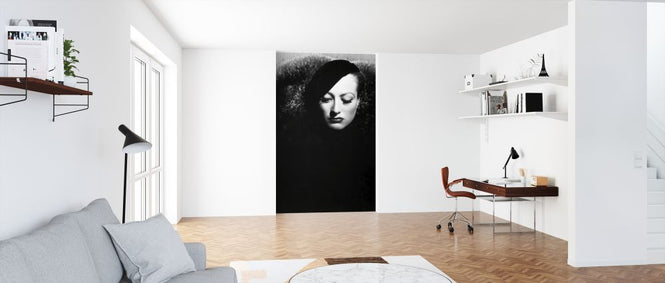 PHOTOWALL / Letty Lynton (e322185)