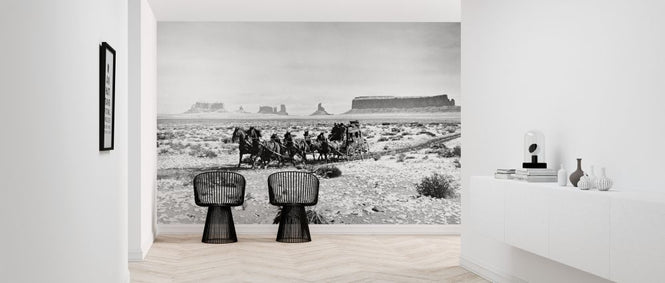 PHOTOWALL / Stagecoach (e322201)