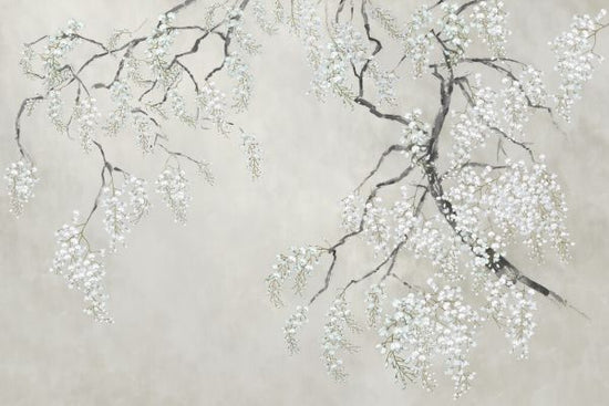 PHOTOWALL / Blossom Wisteria (e325510)