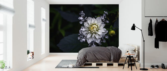 PHOTOWALL / Dahlia Flower (e323736)