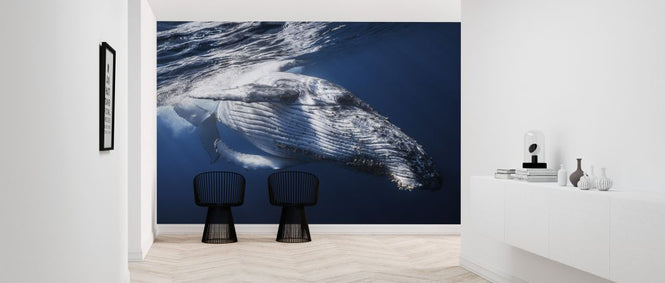 PHOTOWALL / Whale (e323756)
