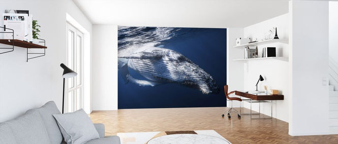 PHOTOWALL / Whale (e323756)