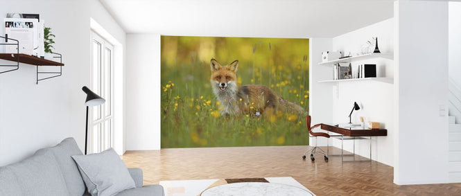 PHOTOWALL / Red Fox (e323771)