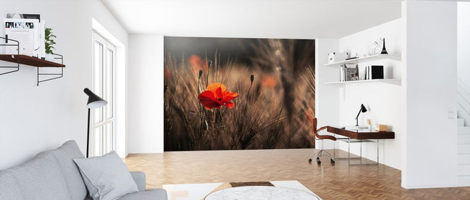 PHOTOWALL / Poppy with Corn (e323776)