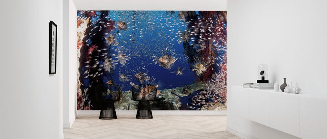 PHOTOWALL / Lionfish Party (e323878)