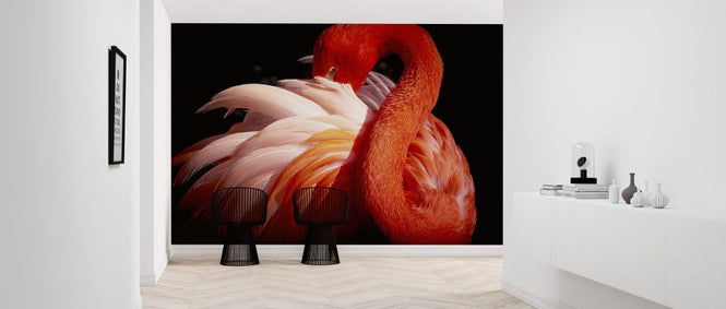 PHOTOWALL / Flamingo (e323942)
