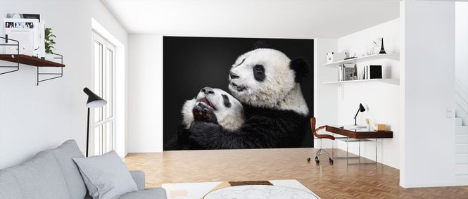 PHOTOWALL / Pandas (e323945)