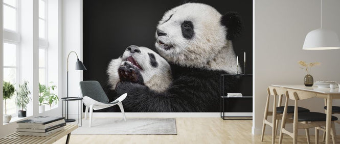 PHOTOWALL / Pandas (e323945)