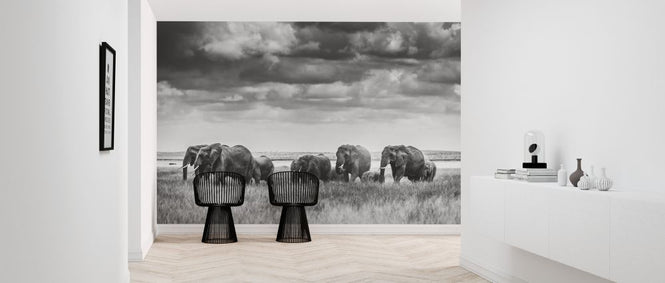 PHOTOWALL / Elephant Family II (e323963)