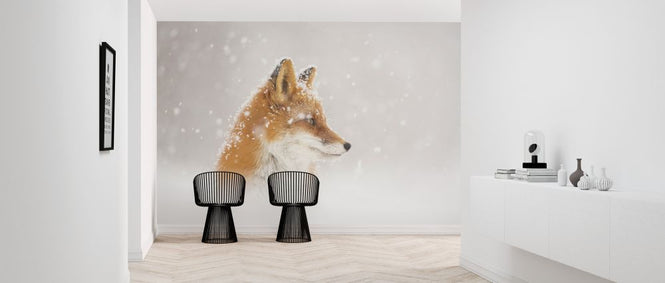 PHOTOWALL / Snow is Falling (e323999)