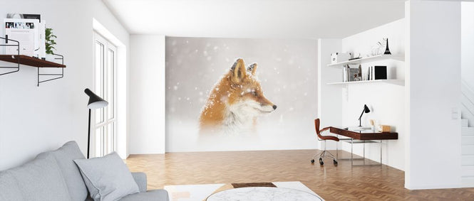 PHOTOWALL / Snow is Falling (e323999)