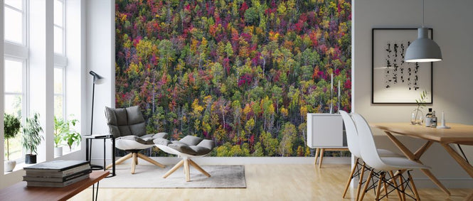 PHOTOWALL / Colour Palette (e324076)