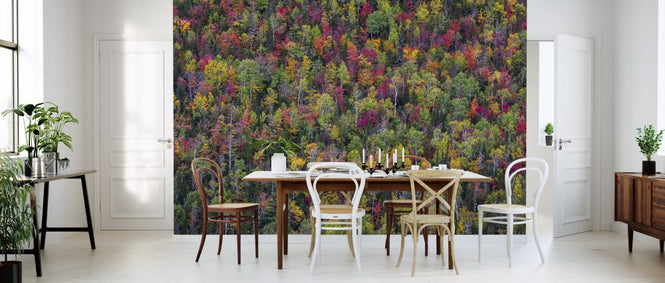 PHOTOWALL / Colour Palette (e324076)