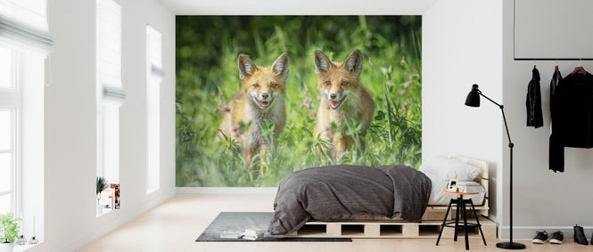 PHOTOWALL / Brothers (e324112)