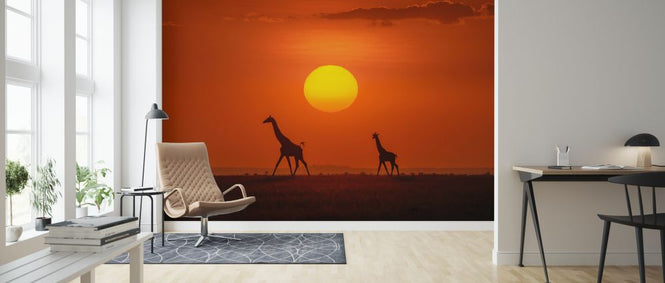 PHOTOWALL / Giraffes in the Sunset (e324124)