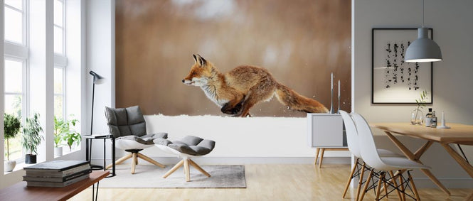 PHOTOWALL / Red Fox (e324446)