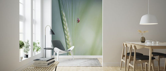 PHOTOWALL / Beetle (e324470)
