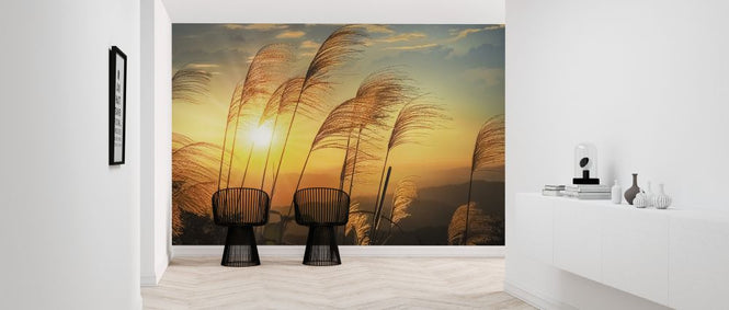 PHOTOWALL / Senna Sunrise (e326031)