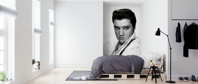 PHOTOWALL / Elvis Presley (e326075)