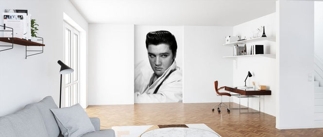 PHOTOWALL / Elvis Presley (e326075)