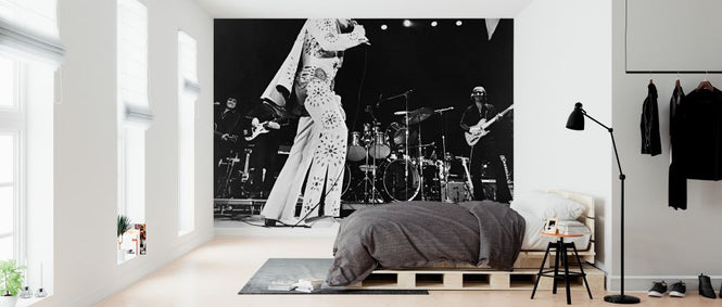 PHOTOWALL / Elvis On Tour (e326132)