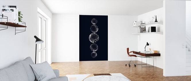 PHOTOWALL / Moons III (e325537)
