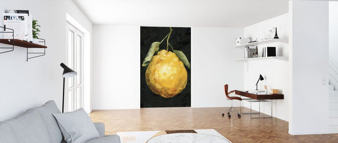 PHOTOWALL / Dark Lemon II (e324934)