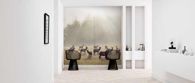 PHOTOWALL / Elk in a Meadow (e324565)