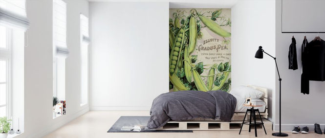 PHOTOWALL / Antique Seed Packets III (e324737)