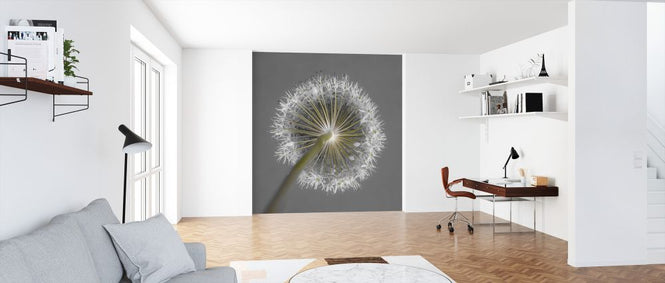 PHOTOWALL / Allium Flower (e326245)