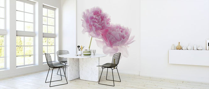 PHOTOWALL / Peonies (e326292)