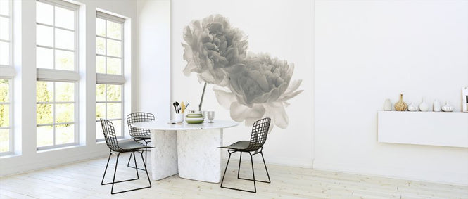 PHOTOWALL / Peonies (e326293)