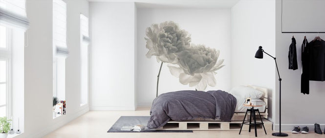 PHOTOWALL / Peonies (e326293)