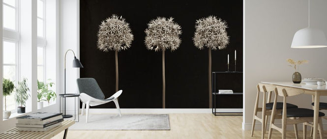 PHOTOWALL / Three Allium Flowers (e326298)