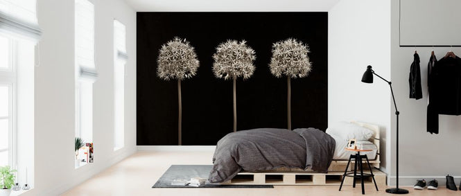PHOTOWALL / Three Allium Flowers (e326298)