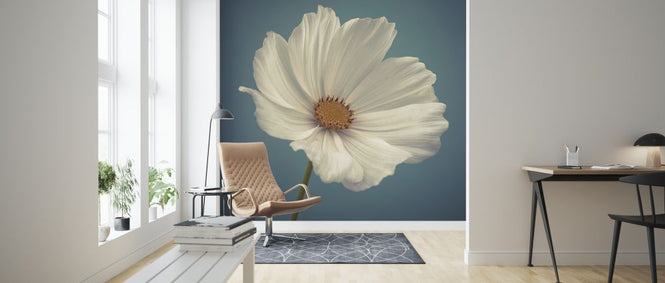 PHOTOWALL / Cosmos (e326320)