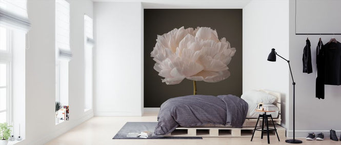 PHOTOWALL / Peonies (e326340)