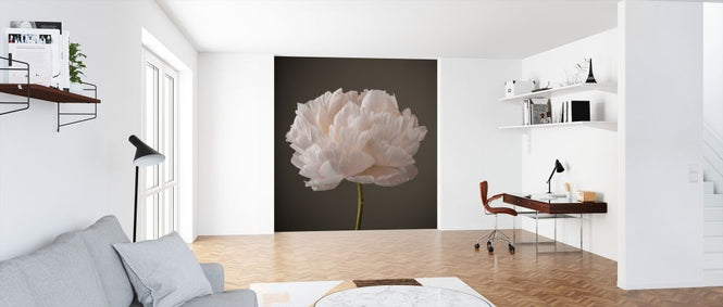 PHOTOWALL / Peonies (e326340)