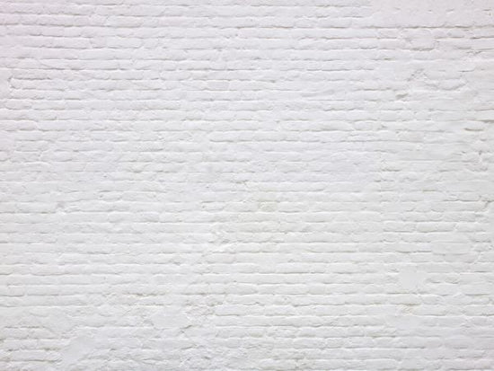 PHOTOWALL / Brick Wall (e326395)