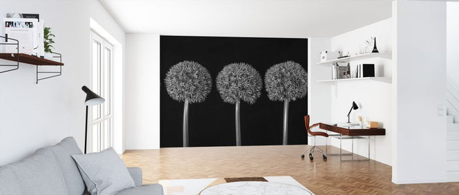 PHOTOWALL / Alliums (e326400)
