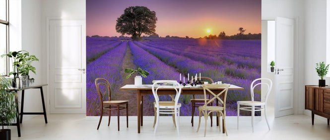 PHOTOWALL / Lavender (e326434)