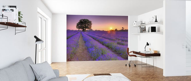 PHOTOWALL / Lavender (e326434)