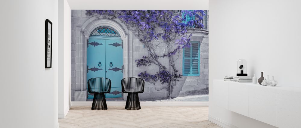 Zoom
