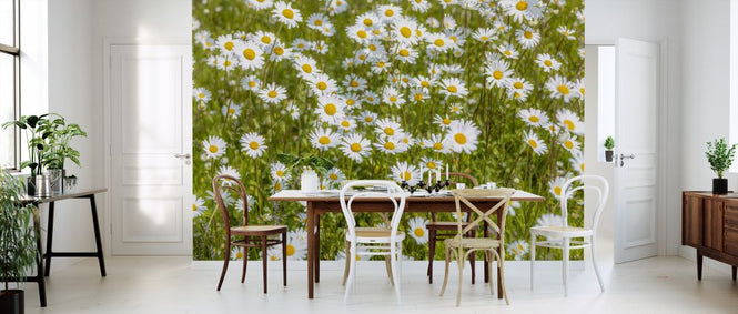 PHOTOWALL / Daisy (e326454)