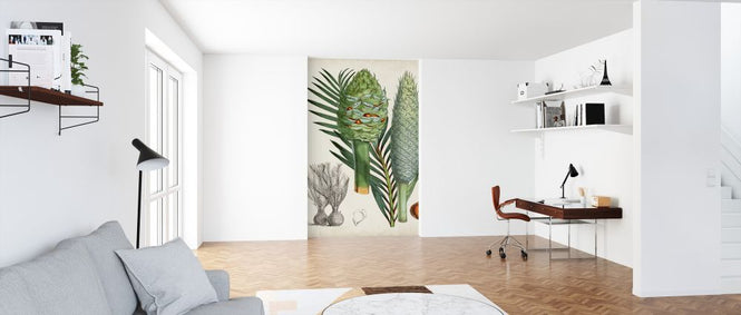PHOTOWALL / Sago Palms (e324758)