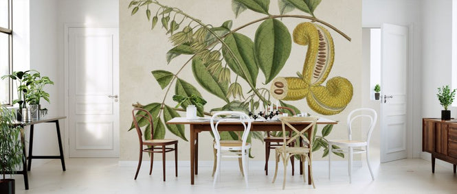 PHOTOWALL / Tropical Foliage Fruit (e324761)