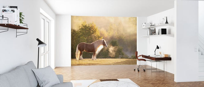 PHOTOWALL / Golden Lit Horse (e324959)