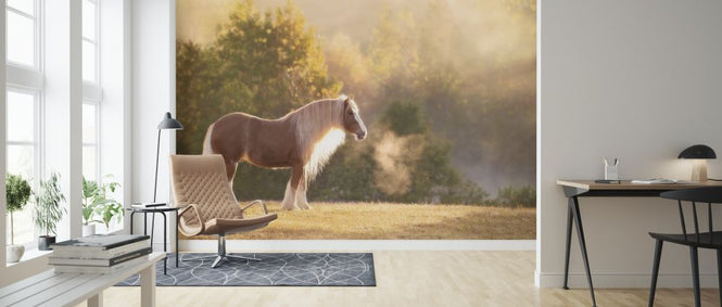 PHOTOWALL / Golden Lit Horse (e324959)