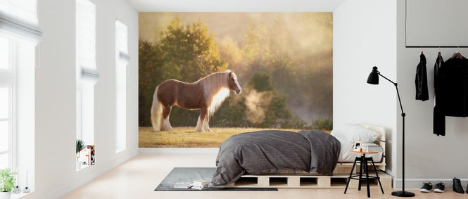 PHOTOWALL / Golden Lit Horse (e324959)